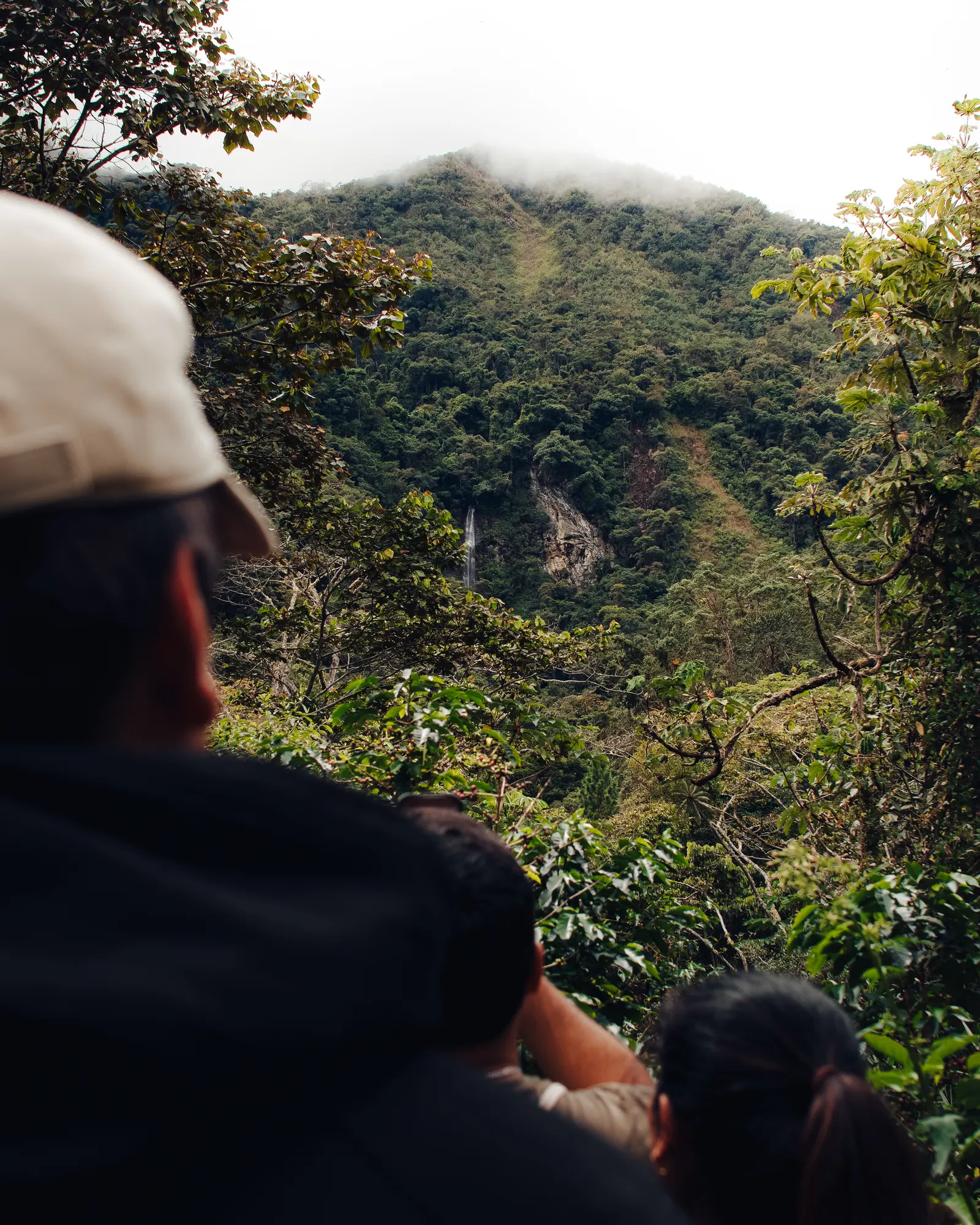El grupo contemplando la selva de Cusco con una catarata a lo lejos